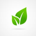 Eco icon green leaf vector Royalty Free Stock Photo