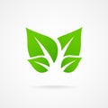 Eco icon green leaf vector