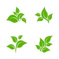 Eco icon green leaf vector illustration isolated. Green leaf sign Royalty Free Stock Photo