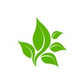 Eco icon green leaf vector illustration isolated. Green leaf sign Royalty Free Stock Photo