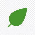 Eco icon green leaf vector illustration isolated on transparent background. Royalty Free Stock Photo