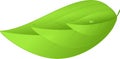 Eco icon green three leaves natural illustration