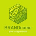 Logo hexagon with green leaves inside. Royalty Free Stock Photo