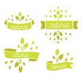 Eco icons, labels set. Organic tags. Natural product elements. L Royalty Free Stock Photo