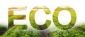 Eco inscription word on the background of green bushes potato plantation rows field. Landscape agriculture. harvest