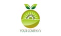 Eco kiwi fruit logo vector image illustration