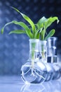 Eco laboratory Royalty Free Stock Photo