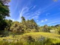 Eco-lake at Singapore Botanic Gardens Royalty Free Stock Photo