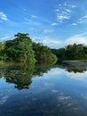 Eco-Lake at Singapore Botanic Gardens. Perfect reflection of the trees and skies Royalty Free Stock Photo