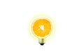 Eco lamp. Save electricity. Orange fruit in lamp bulb isolated on white background. New idea concept Royalty Free Stock Photo