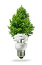 Eco lamp and tree Royalty Free Stock Photo