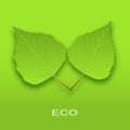 Eco Leaves