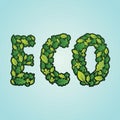 Eco lettering design. Vector illustration decorative design Royalty Free Stock Photo