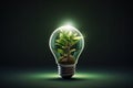 eco light bulb with leaf . environmental