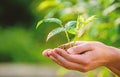 Eco living. farming and agriculture cultivation. Gardening. new life birth. plant in ground in hands. care plants. Eco Royalty Free Stock Photo