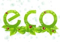 Eco logo Royalty Free Stock Photo