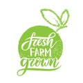 Eco logos, vegetarian healthy natural food stickers, fresh farm grown.