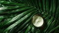 Eco Luxe Natural Skincare Cream Amidst Lush Green Palm Leaves.