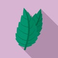 Eco mint icon, flat style