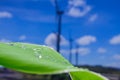 Eco Nature Background with  Blue Sky Royalty Free Stock Photo