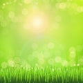 Eco nature green abstract defocused background