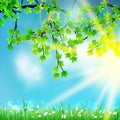Eco nature / green and blue with sunshine. Royalty Free Stock Photo