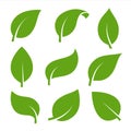 Eco nature green color leaf vector logo flat icon set Royalty Free Stock Photo