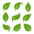 Eco nature green color leaf vector logo flat icon set Royalty Free Stock Photo