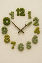 Eco optimism concept with a clock made of moss showing time passing Royalty Free Stock Photo