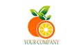 Eco orange fruit logo vector image illustration Royalty Free Stock Photo