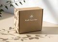 Eco packaging mockup featuring a rectangular kraft paper box Royalty Free Stock Photo