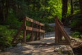 Eco path wooden walkway in the forest. Ecological trail path. Wooden path in the National park in Canada