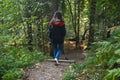 Eco path wooden walkway in Komarovo Shore, Komarovsky Bereg Natural Monument ecological trail path - route walkways laid in the