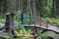 Eco path wooden walkway in Komarovo Shore, Komarovsky Bereg Natural Monument ecological trail path - route walkways laid in the