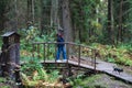 Eco path wooden walkway in Komarovo Shore, Komarovsky Bereg Natural Monument ecological trail path - route walkways laid in the