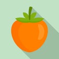 Eco persimmon icon, flat style