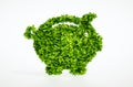 Eco piggy bank concept