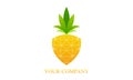 Eco pinapple fruit logo vector image illustration Royalty Free Stock Photo