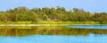 Eco Pond Everglades National Park Royalty Free Stock Photo