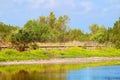 Eco Pond Everglades National Park Royalty Free Stock Photo