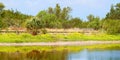 Eco Pond Everglades National Park Royalty Free Stock Photo