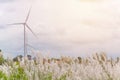 Eco power in wind turbine farm with flowers