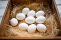 Eco-product. A wooden box of hay containing a ten white eggs. View from the top. Close up. White background. Concept of natural