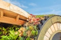 Eco roof covered with green sedum and other roof plants in specially designed roof planters Royalty Free Stock Photo