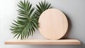 Eco rustic pine tree wood disc platform podium and tropical leaf on white light Royalty Free Stock Photo