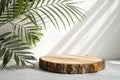 Eco Rustic Pine Tree Wood Disc Platform with Tropical Leaf Royalty Free Stock Photo