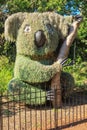 Horticultural sculpture of koala in Sydney Park