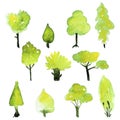 Eco set of watercolor green trees. Vector spring tree collection