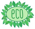 Eco sign in oval frame with leaves around, vector illustration