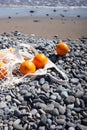 Eco String Bag With Oranges. Rocky Beach.